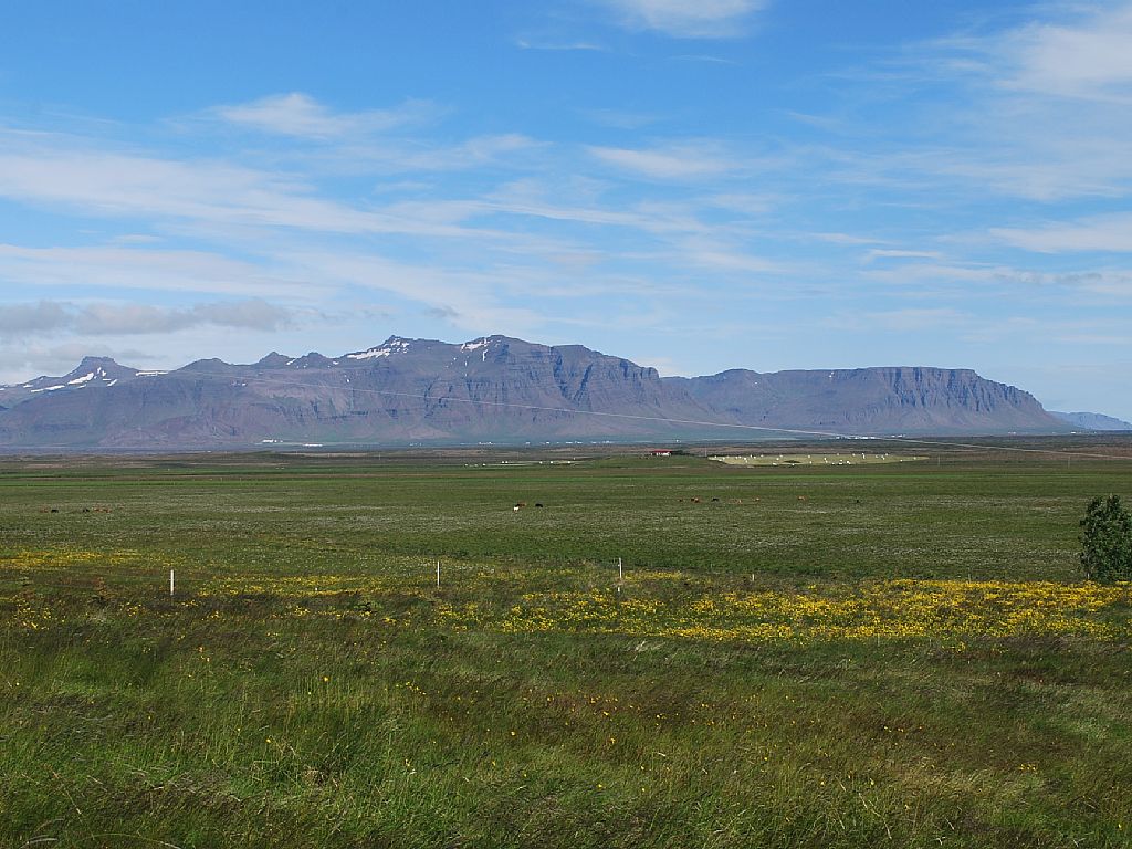 Söðulsholt Cottages